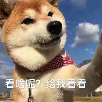 作者头像
