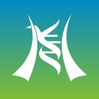 作者头像