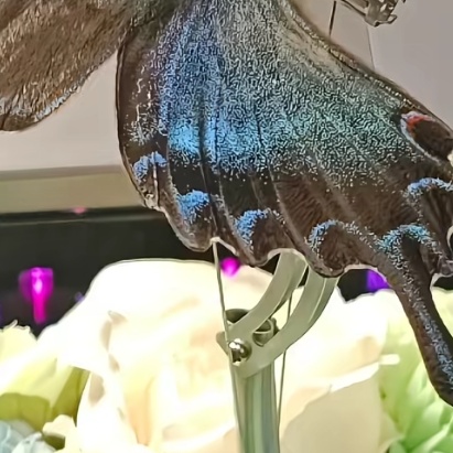 作者头像