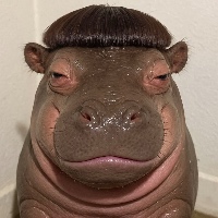 作者头像